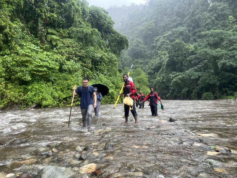 萬水千山只等閑，踐行六講勇向前 ——所羅門金嶺水電站項目勘察工作側(cè)記